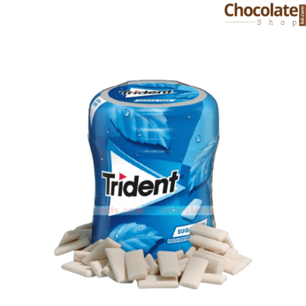 Trident Sugar Free Fresh Peppermint Flavor Gum price in bd