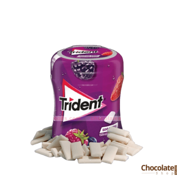 Trident Sugar Free Wild Fruits Flavor Gum price in bd