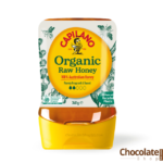 Capilano Organic Raw Honey 340g Price in Bangladesh
