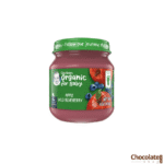 Gerber Organic Apple Wild Blueberry price in BD.