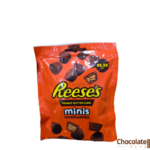 Reeses Peanut Butter Minis Unwrapped