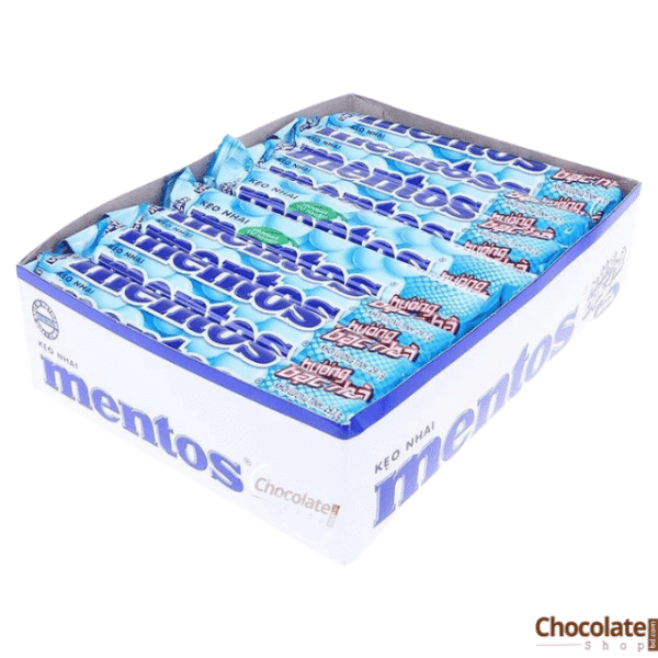 Mentos Mint 29.7g 14 Pieces Box